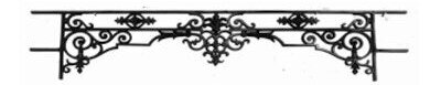 Body guard, railings, grab bars, window railing, cast iron and wrought iron -Birdie_BF.png