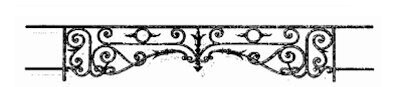 railings, body-guard, grab bars, window railing, cast iron and wrought iron_BIRDIE - DT